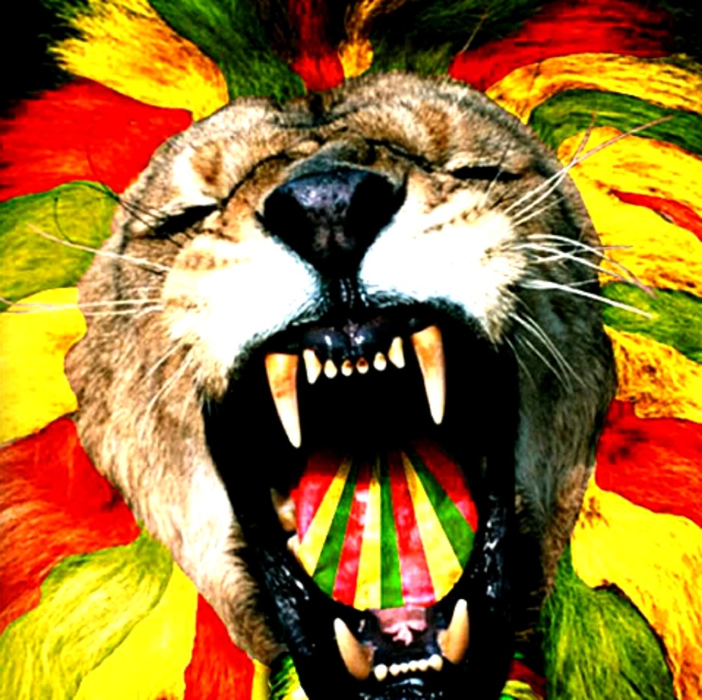 Meet your Posher, Cora. Thanks for stopping by!